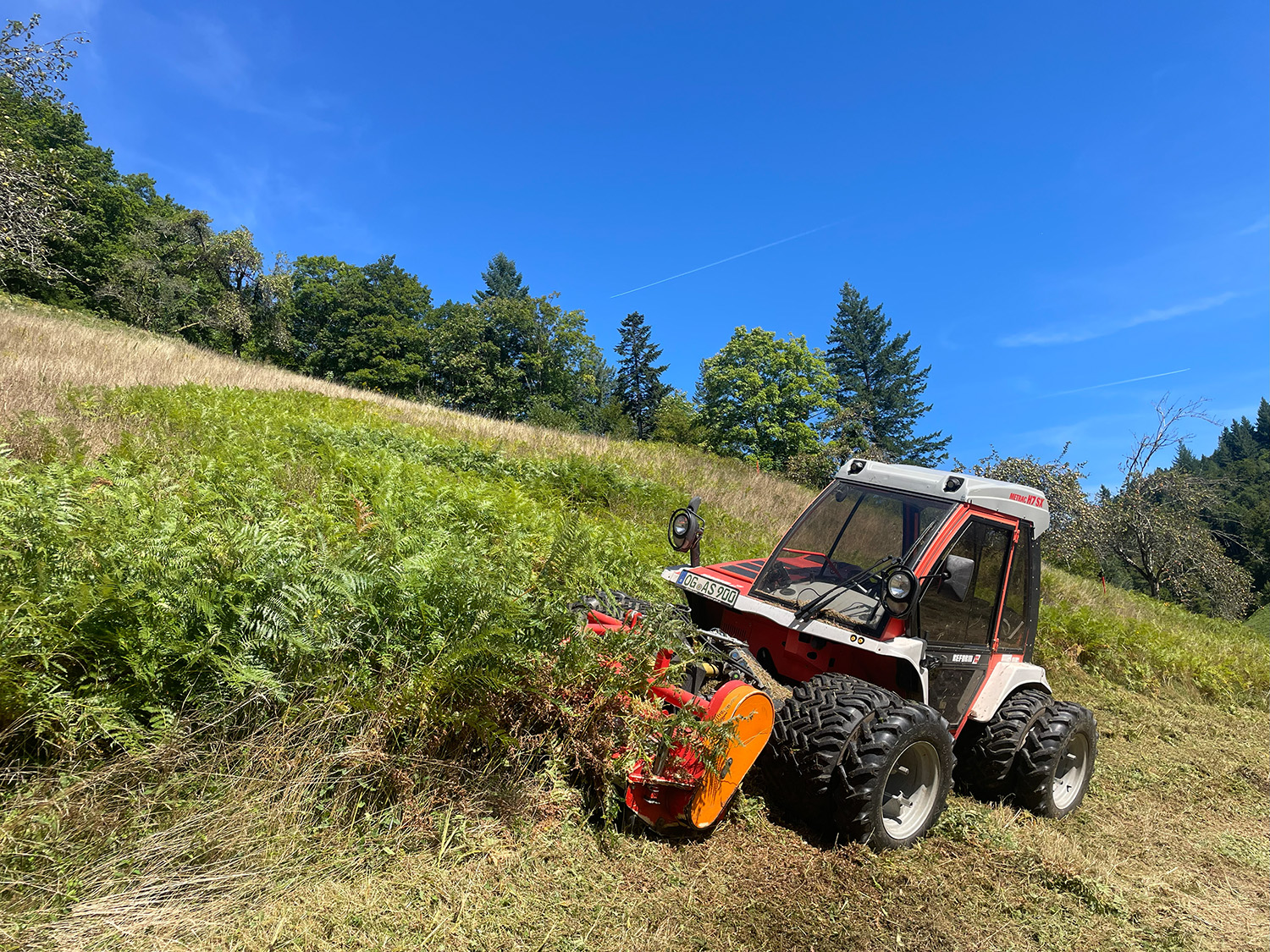 Lichraumprofilschneider